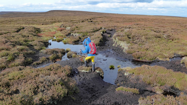 bog